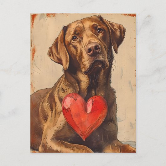 Chesapeake Bay retriever  Valentijnsdag Briefkaart (Voorkant)