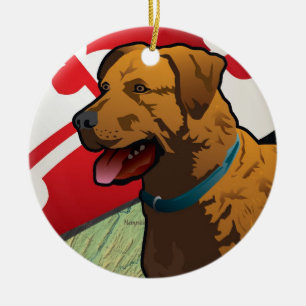 Chesapeake Bay Retriever van Maryland, Chessie Keramisch Ornament
