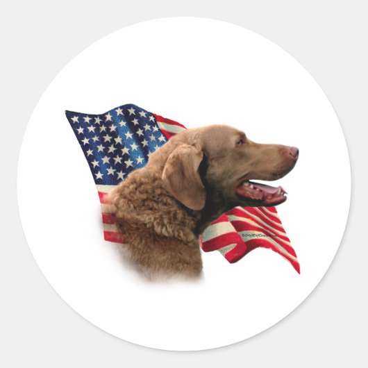 Chesapeake Bay Retriever-vlag Ronde Sticker (Voorkant)