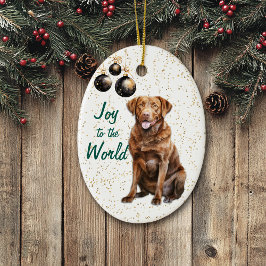 Chesapeake Bay Retriever Vreugde aan de Wereld Vak Keramisch Ornament