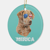 Chesapeake Bay Retriever Zonnebril Amerikaanse USA Keramisch Ornament (Links)