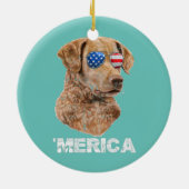 Chesapeake Bay Retriever Zonnebril Amerikaanse USA Keramisch Ornament (Achterkant)