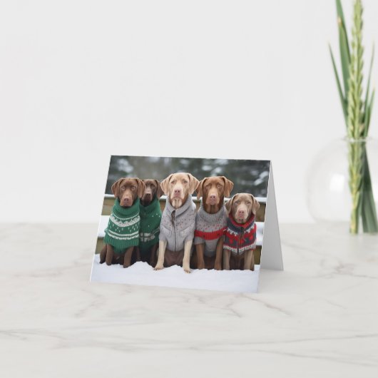 Chesapeake Bay Retrievers Kerst Kaart (Voorkant)