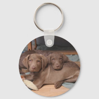 Chesapeake Bay Retrievers Sleutelhanger