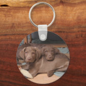 Chesapeake Bay Retrievers Sleutelhanger (Voorkant)