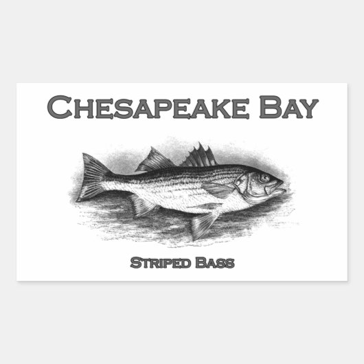Chesapeake Bay Striped Bass Rechthoekige Sticker (Voorkant)