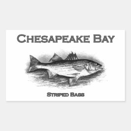 Chesapeake Bay Striped Bass Rechthoekige Sticker