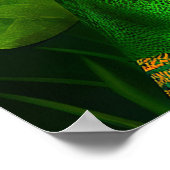 Chesapeake Bay Terrier in St. Patrick's Day Dress Poster (Hoek)