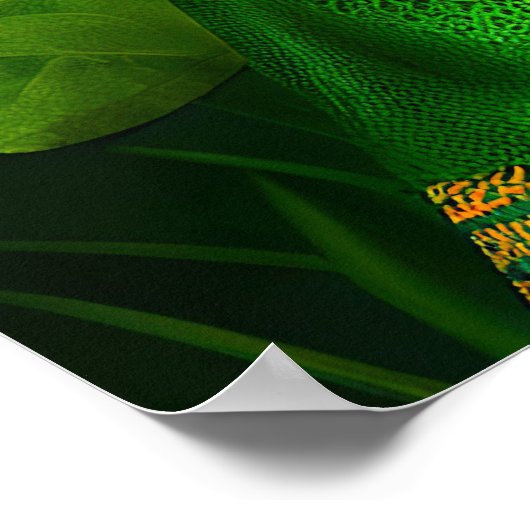 Chesapeake Bay Terrier in St. Patrick's Day Dress Poster (Hoek)