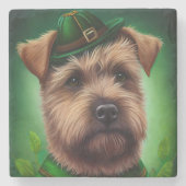 Chesapeake Bay Terrier in St. Patrick's Day Dress Stenen Onderzetter (Voorkant)