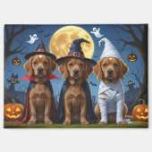 Chesapeake Bay Terrier Pompoen Halloween Grappig Magneet (Voorkant)
