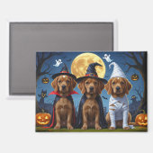Chesapeake Bay Terrier Pompoen Halloween Grappig Magneet (Voorkant / Achterkant)
