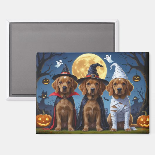 Chesapeake Bay Terrier Pompoen Halloween Grappig Magneet (Voorkant / Achterkant)