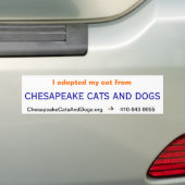 Chesapeake Cats and Dogs Bumpersticker (Op auto)