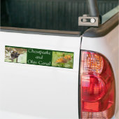 Chesapeake en Ohio Canal Bumpersticker (Op Truck)