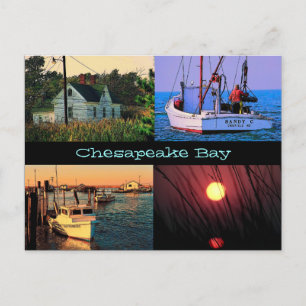 Chesapeake het Briefkaart van de Baai
