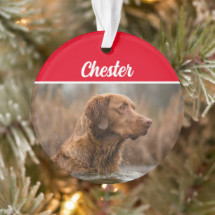 Chesapeake Retriever met naam en kerstfoto Ornament