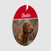 Chesapeake Retriever met naam en kerstfoto Ornament (voorkant)