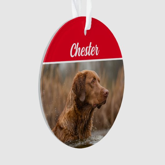 Chesapeake Retriever met naam en kerstfoto Ornament (voorkant)