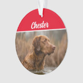 Chesapeake Retriever met naam en kerstfoto Ornament (voorkant)