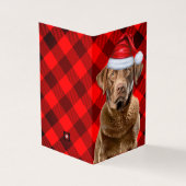Chesapeake Retriever Red Plaid Kerstvakantie Kaart (Buitenkant)