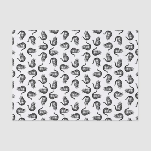 Cheshire Cat Alice in Wonderland CUSTOM COLOR Tissuepapier (Voorkant)