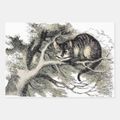Cheshire Cat Alice Wonderland Inpakpapier Vel (Voorkant)