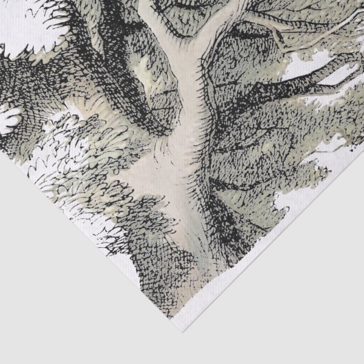 Cheshire Cat Alice Wonderland Tissuepapier (Detail)