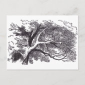 Cheshire Cat Briefkaart (Voorkant)