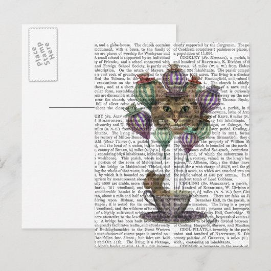 Cheshire Cat Hot Air ballon Briefkaart (Voorkant / Achterkant)