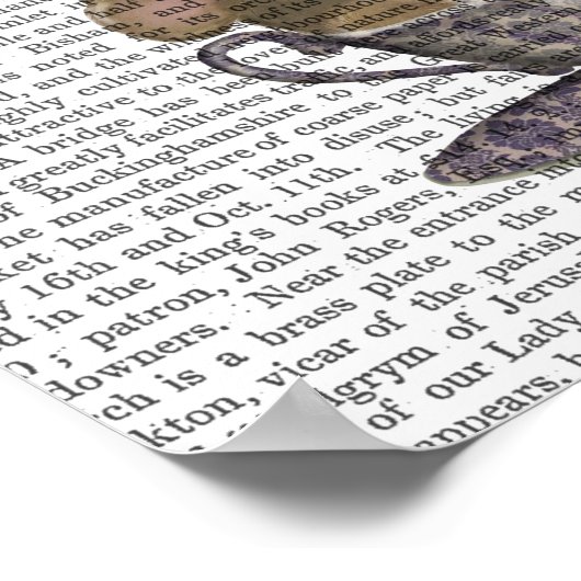 Cheshire Cat Hot Air ballon Poster (Hoek)