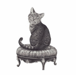 Cheshire Cat Photo Sculpture Alice in Wonderland Staand Fotobeeldje