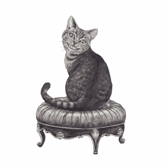 Cheshire Cat Photo Sculpture Alice in Wonderland Staand Fotobeeldje (Voorkant)