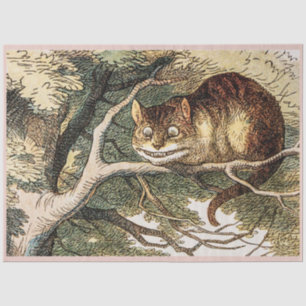 Cheshire Cat van Alice in Wonderland Tissuepapier