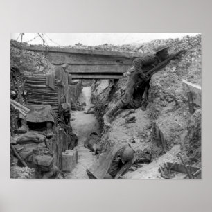 Cheshire Reg niet in de Somme Poster