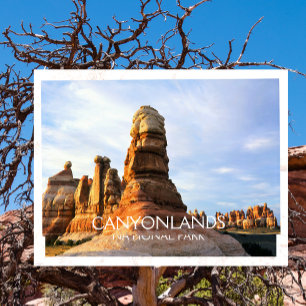 Chesler Park, Needles, Canyonlands Nationaal Park Briefkaart