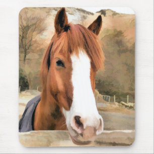 CHESNUT HORSE MUISMAT