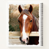 CHESNUT HORSE NOTITIEBOEK (Achterkant)