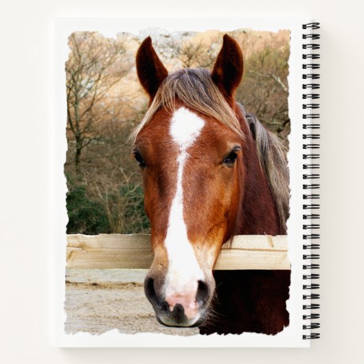 CHESNUT HORSE NOTITIEBOEK (Achterkant)