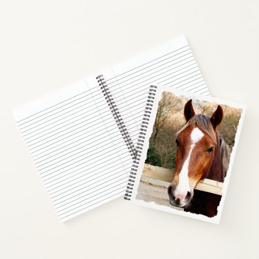 CHESNUT HORSE NOTITIEBOEK (Binnen)