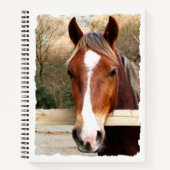 CHESNUT HORSE NOTITIEBOEK (Voorkant)