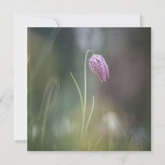 Chess Flower-fotokaart (Voorkant)