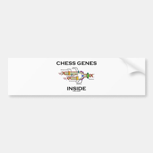 Chess Genes Inside (DNA-replicatie) Bumpersticker (Voorkant)