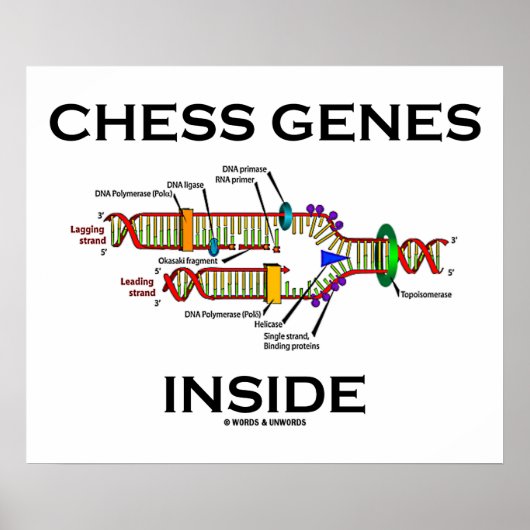 Chess Genes Inside (DNA-replicatie) Poster (Voorkant)