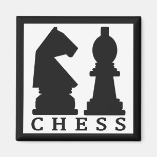 CHESS magnet