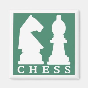 CHESS magnet