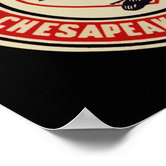 Chessie, het poster van George Washington (Hoek)