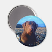 Chessie Magneet (Voorkant / Achterkant)