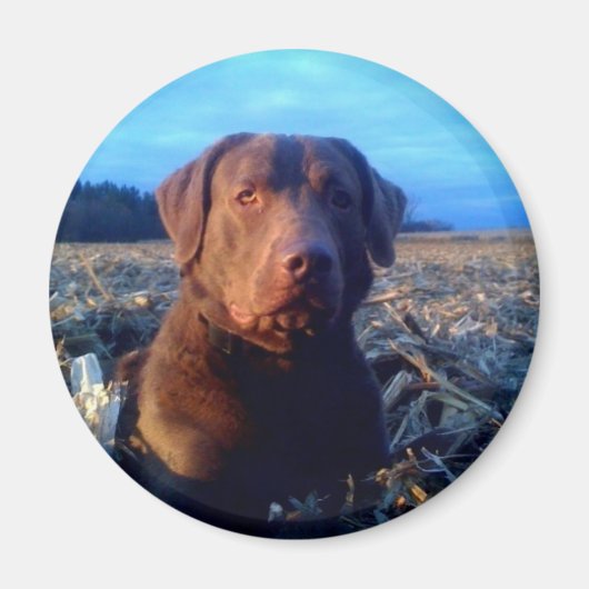 Chessie Magneet (Voorkant)