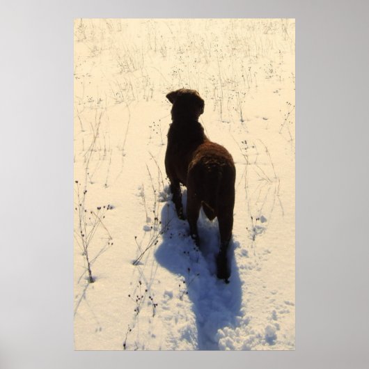Chessie Poster (Voorkant)
